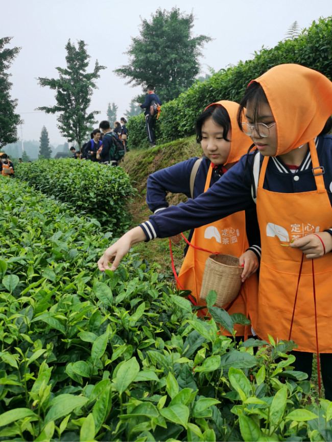 重庆市两江巴蜀中学