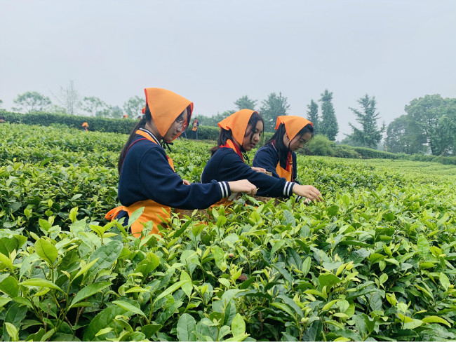 重庆市两江巴蜀中学